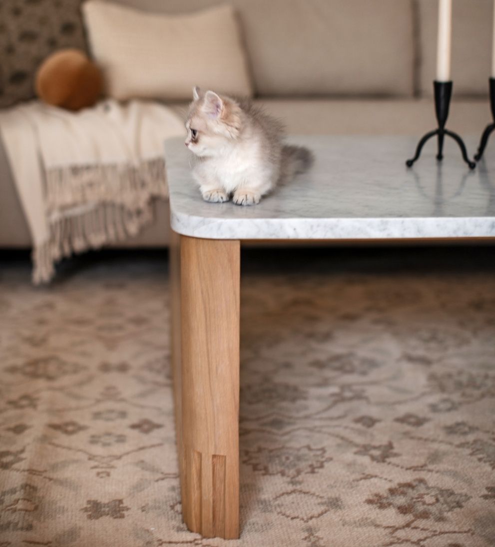 Ingrid Coffee Table - Dimensions: 64 L x 35 W x 17 HThe Ingrid Coffee Table brings the soul of Lindye¡¯s own kitchen island into the living room