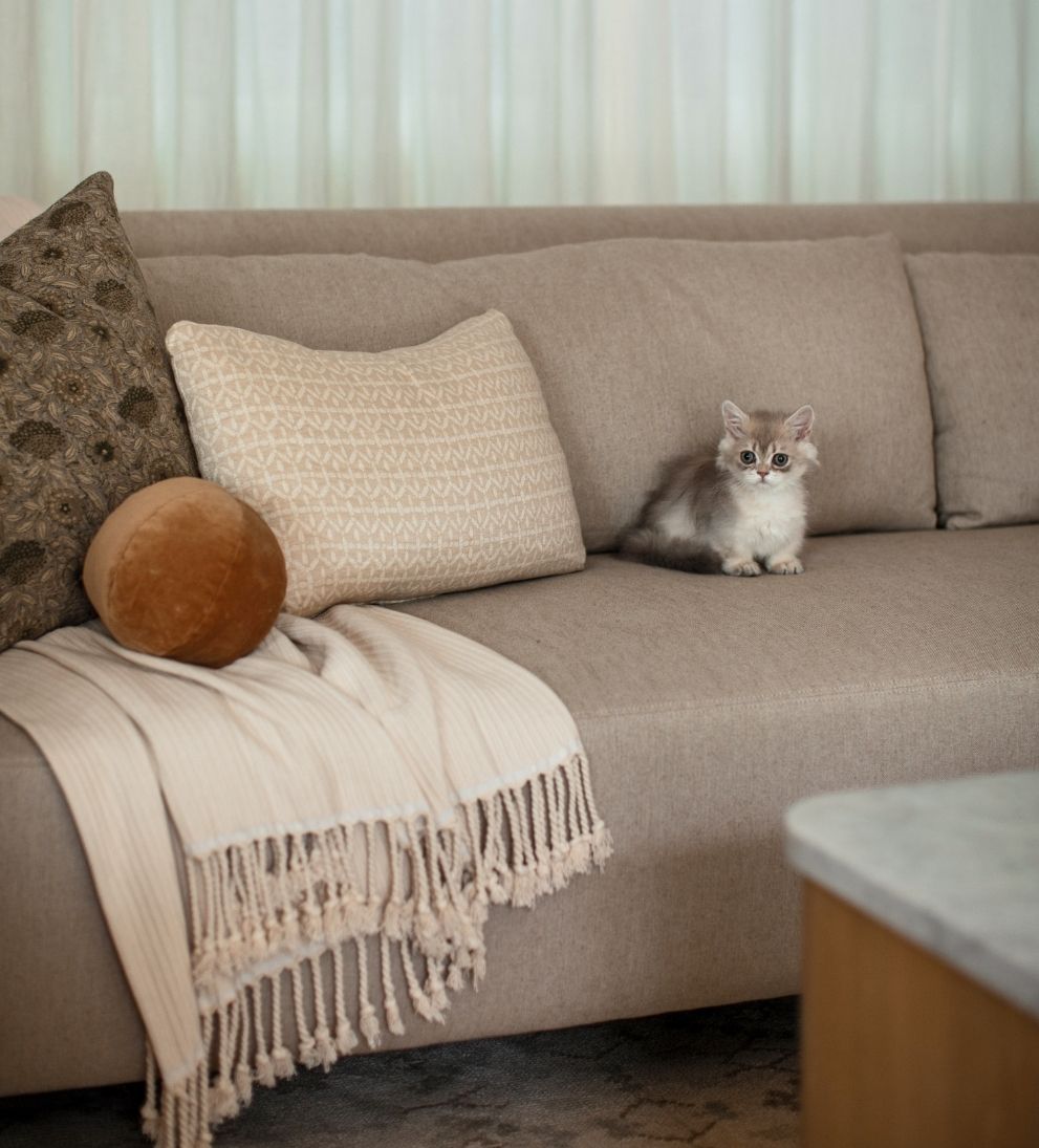 Josephine Custom 96 Sofa - Dimensions: 41 D x 96 L x 33 HThe Josephine Sofa is refined comfort at its most effortless. - Designed with clean lines